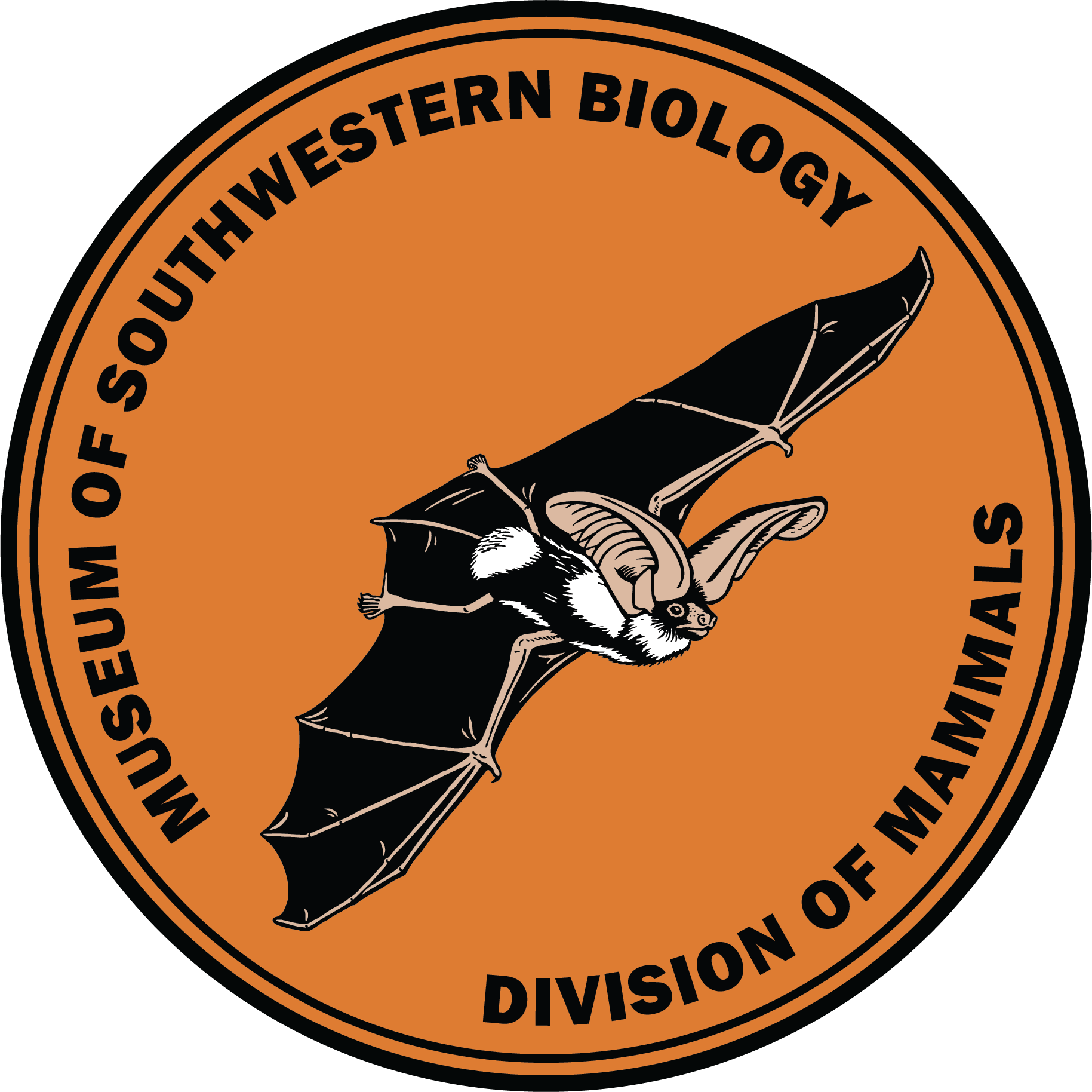 msb-division-of-mammals-logo.png