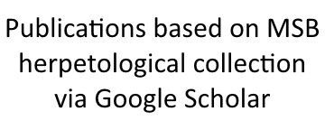 Google Scholar collection-based