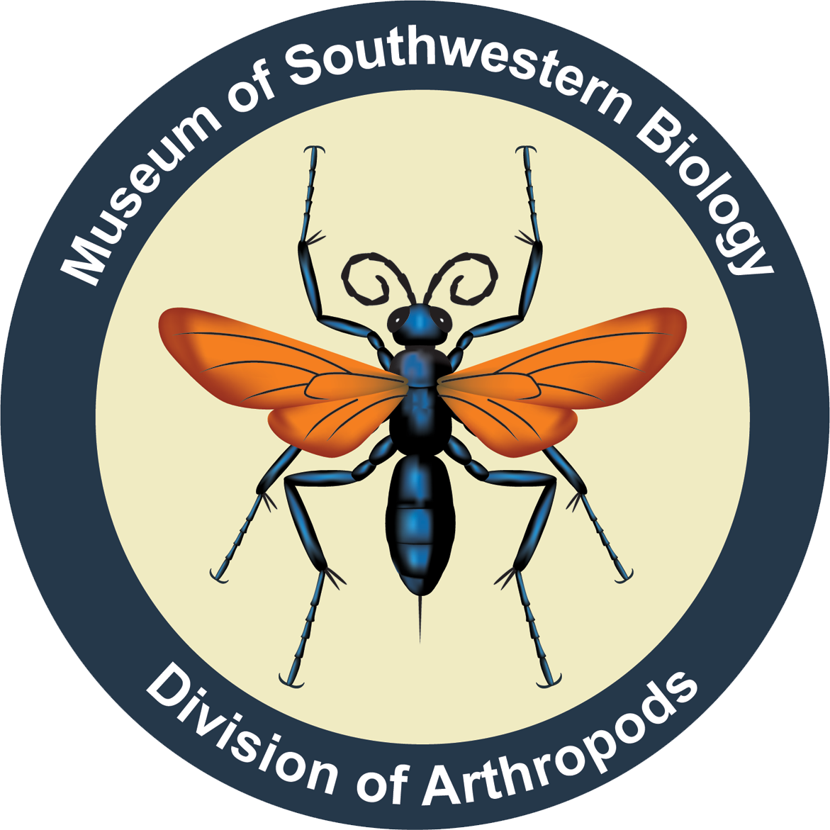MSBA Circle Logo
