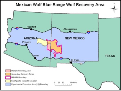 blue-range-wolf-recovery-area.jpg