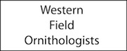 western field ornithologists