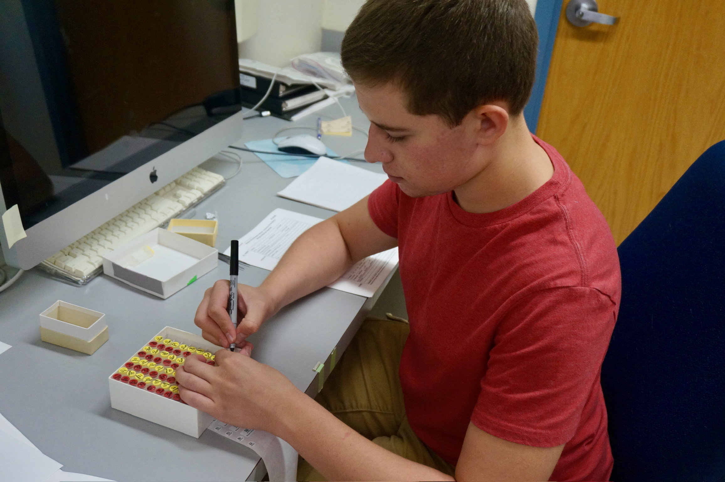 volunteer-labeling-tissue-tubes.jpeg