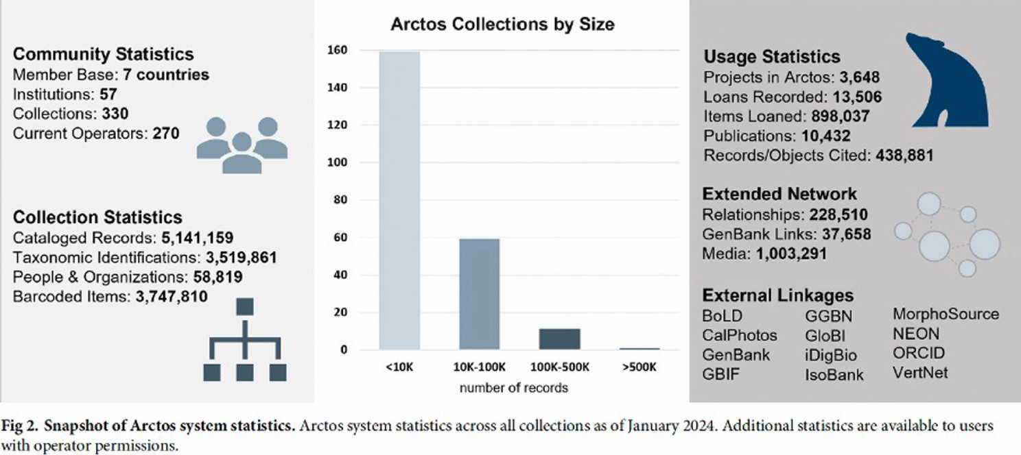Arctos graphic