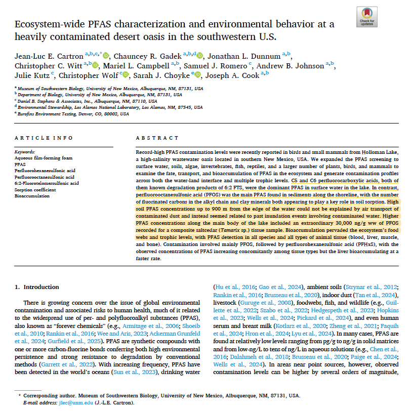 Scientific papers