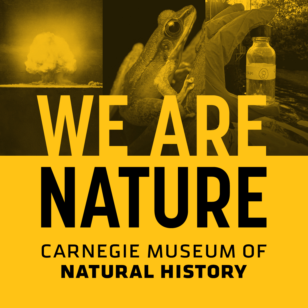 We Are Nature Podcast