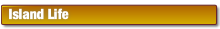 wp190d9094.png