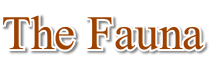 wp44e8310d.png