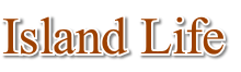 wp4db70ca2.png