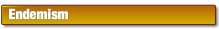 wpd1f4a996.png