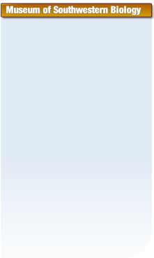 wpf4391e31.png