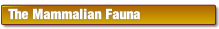 wpfce61ee3.png