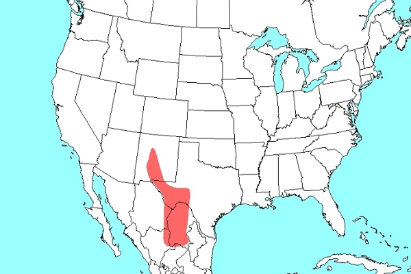 Ammo interpres map