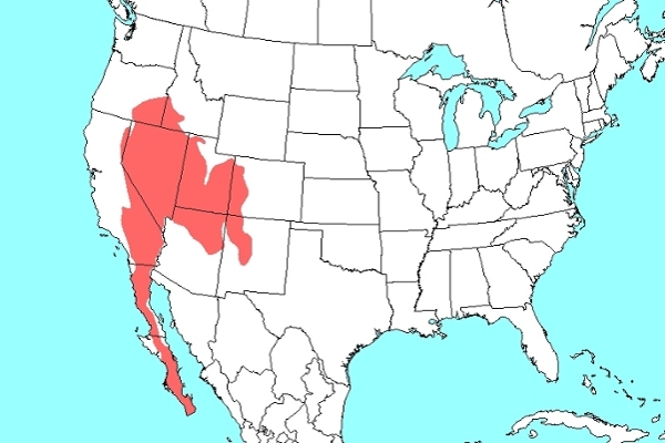 Ammo interpres map