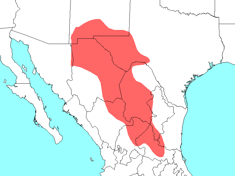 Scientific name map