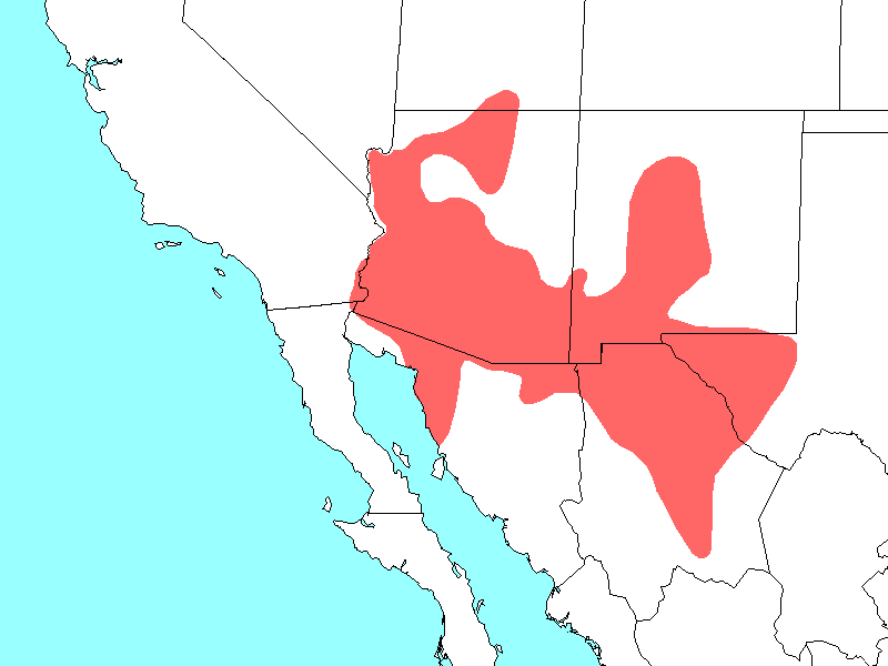 Scientific name map
