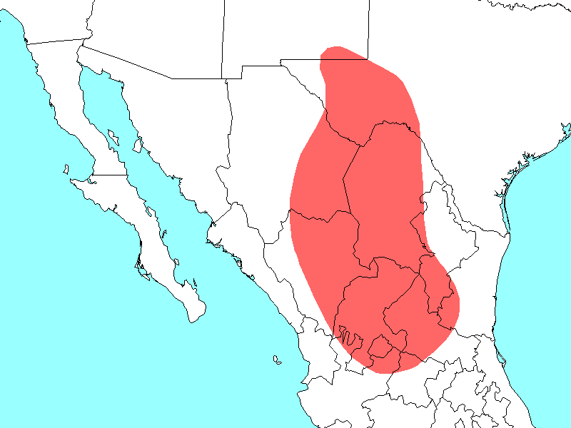 Scientific name map