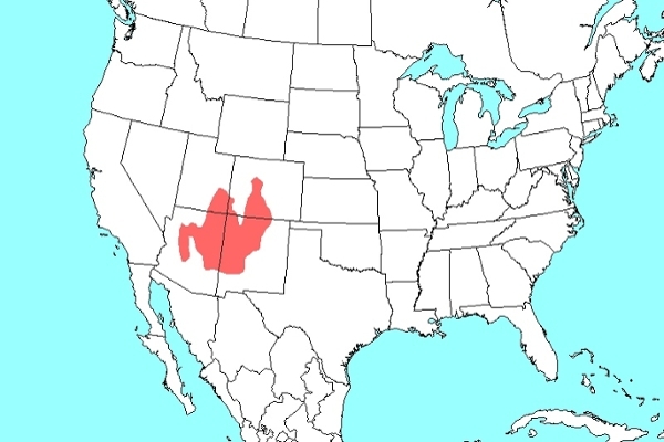 Ammo interpres map