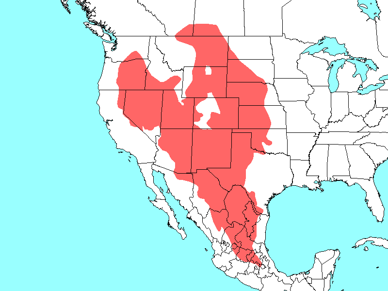 Scientific name map