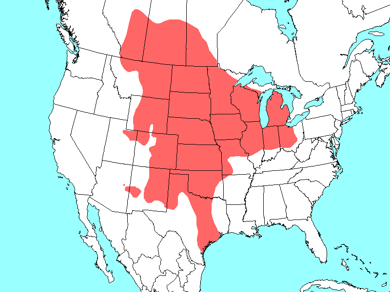 Scientific name map