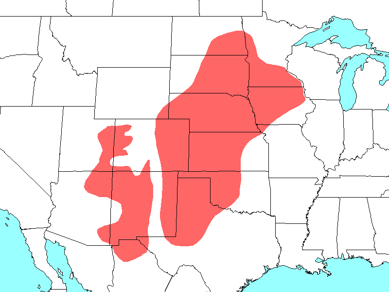 Perognathus flavescens map
