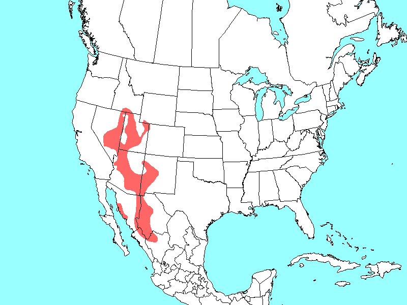 Scientific name map