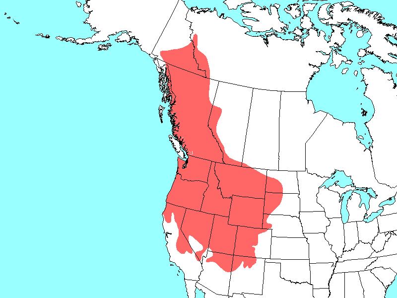 Scientific name map