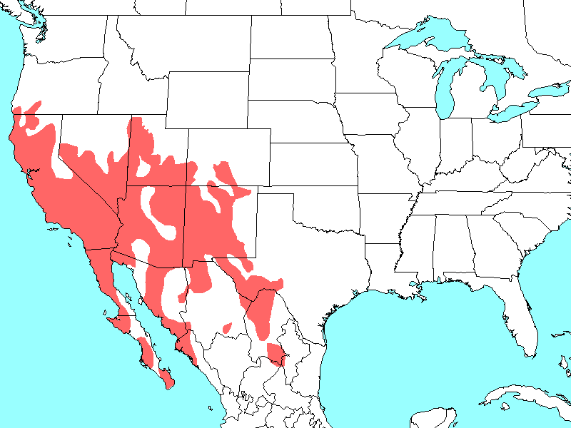 tomomys bottae map