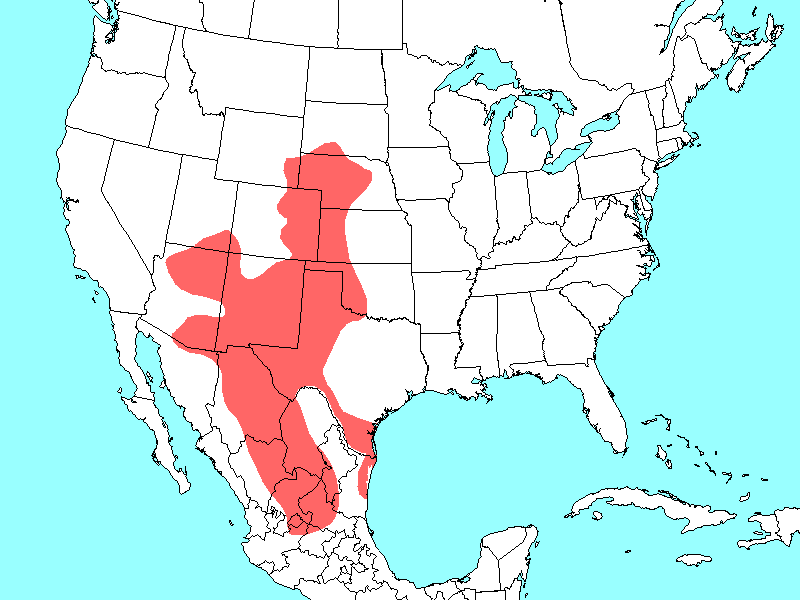 Ammo interpres map